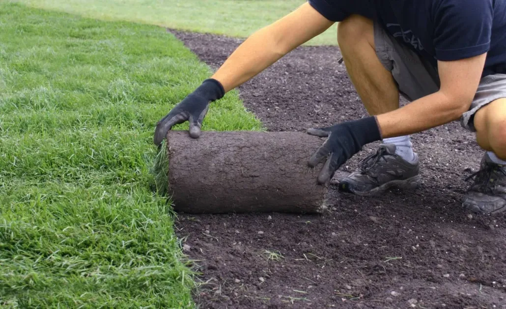 Close up of hands unrolling a roll of natural grass turf