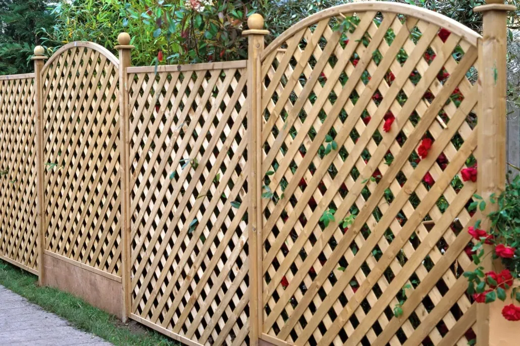 Wooden lattice fencing with arched tops and climbing red roses