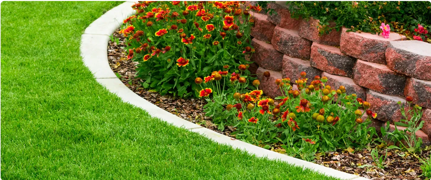 Landscaped garden border with green lawn, curved edging, flowers, and stone retaining wall