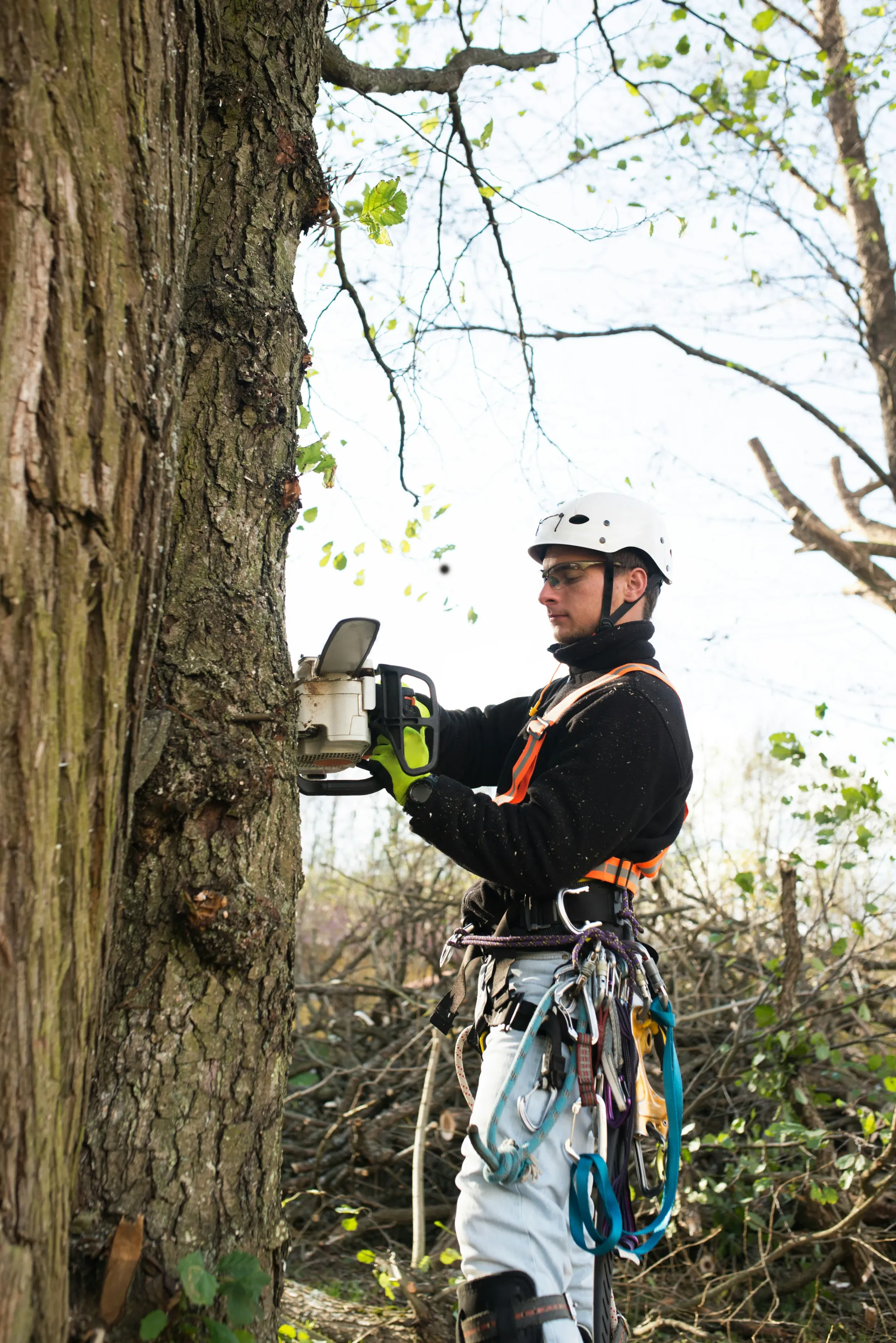 A tree surgeon in a helmet and harness using a chainsaw on a tree.