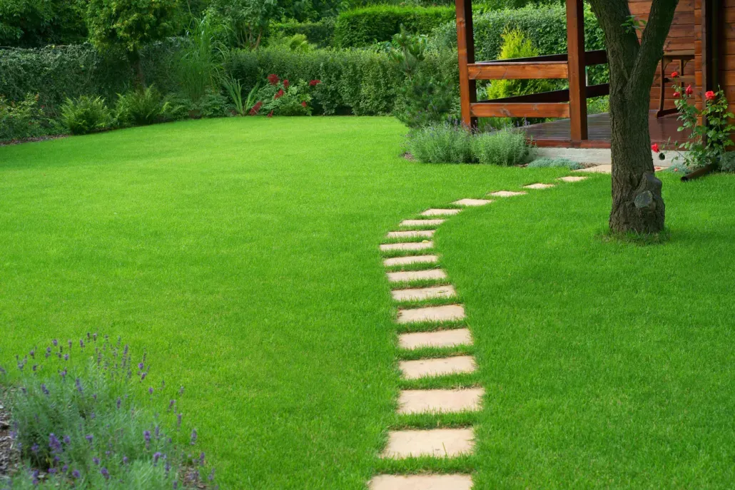 Stepping stone path through a lush green garden lawn.